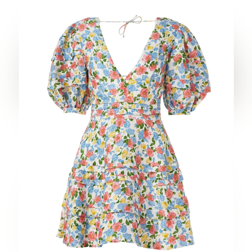 Amur Avian Floral Mini Dress size 8 USED